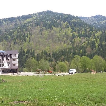 Pensiunea Poiana Soarelui Brates 外观 照片