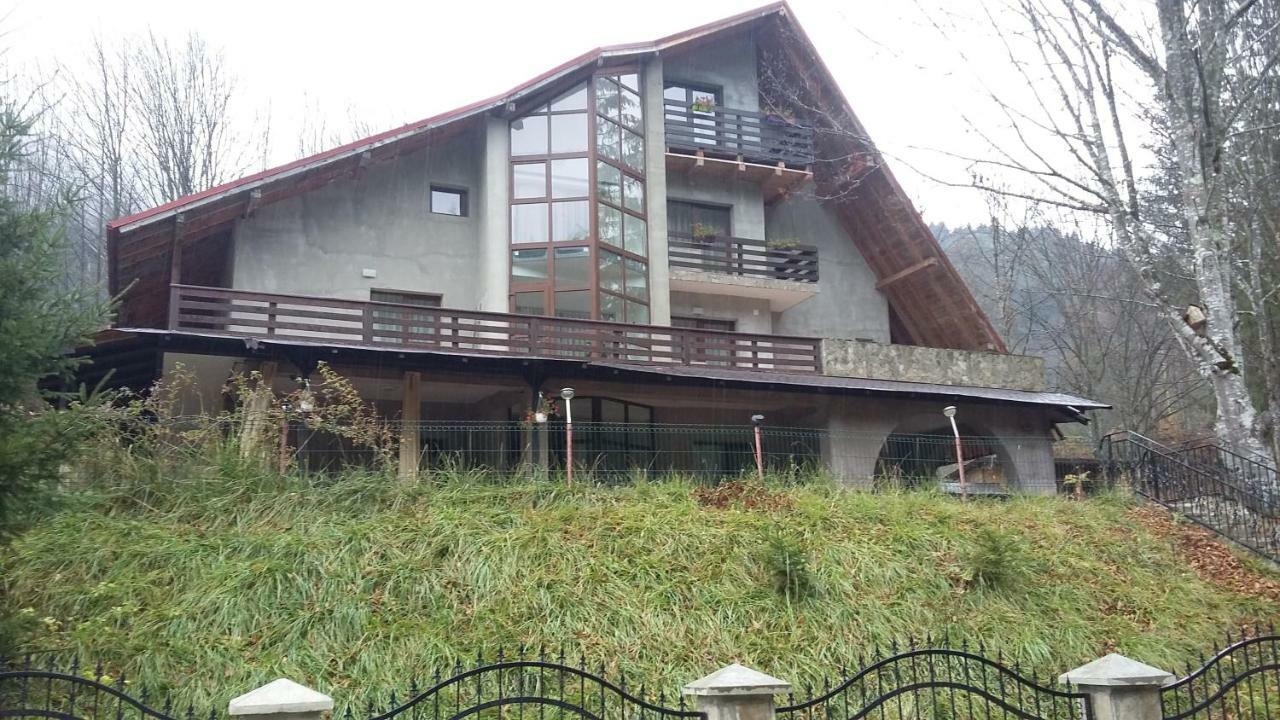 Pensiunea Poiana Soarelui Brates 外观 照片