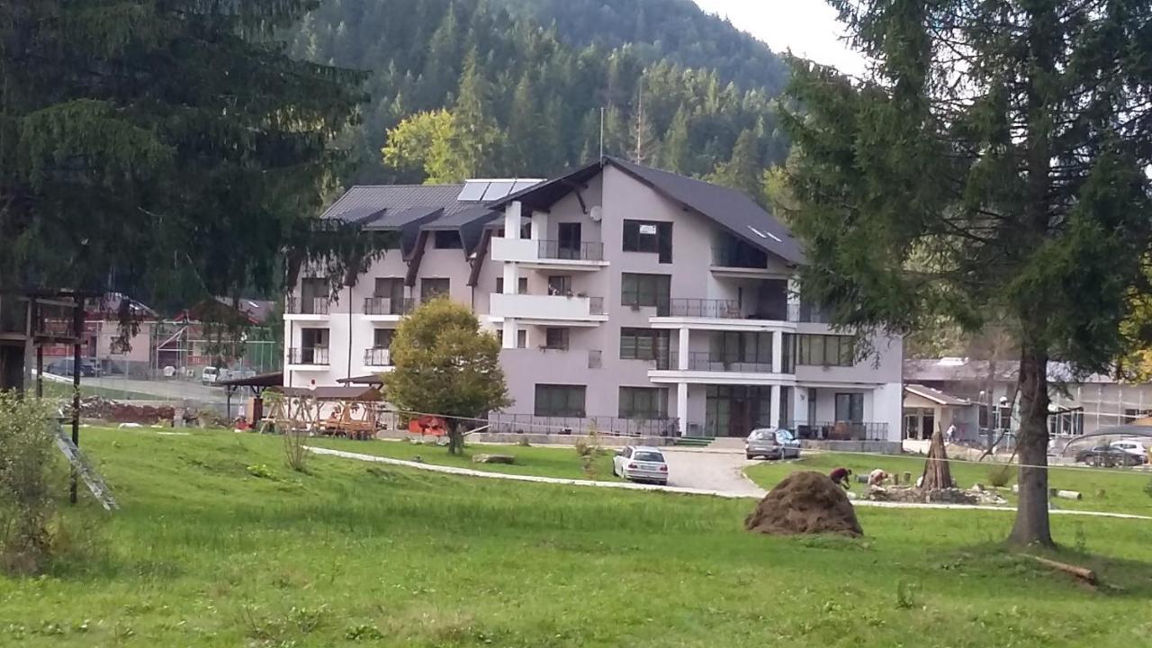 Pensiunea Poiana Soarelui Brates 外观 照片