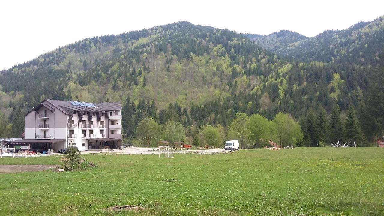 Pensiunea Poiana Soarelui Brates 外观 照片