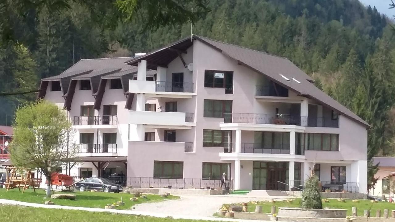 Pensiunea Poiana Soarelui Brates 外观 照片